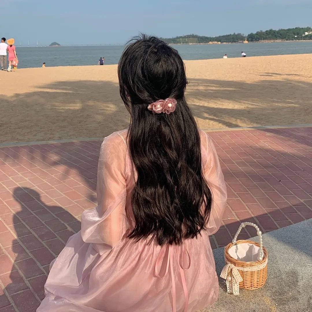 海岸猎鹰